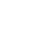 Pure Essential Oil Scents